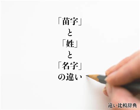 水木 苗字|「水木」という名字（苗字）の読み方は？レア度や由。